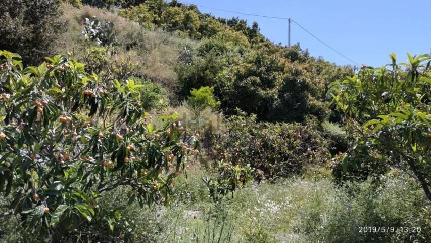 Terreno en venta en Otívar, Camino de Bodija, 18690 photo 0