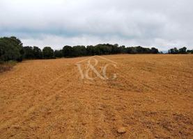 Terreno en venta en Pals, Pals photo 0