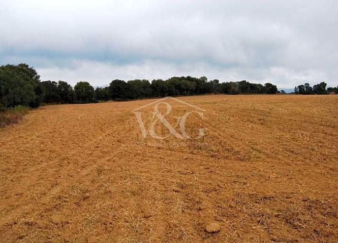 Terreno en venta en Pals, Pals photo 0