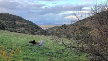 Terreno en venta en Antequera photo 0