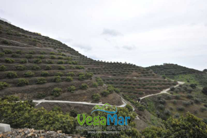 Terreno en venta en Almuñécar, La Caldera, 18690 photo 0