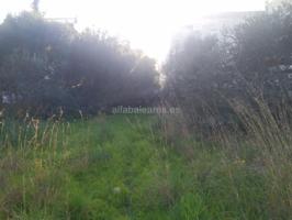 Terreno en venta en Alcúdia, Puerto de alcúdia photo 0