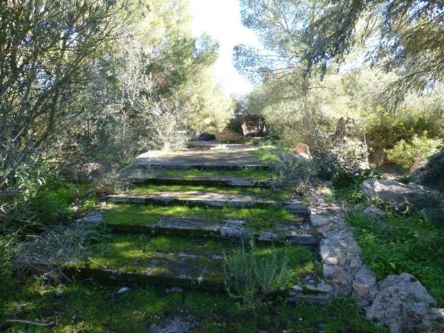 Terreno en venta en Llucmajor, Sa Torre photo 0