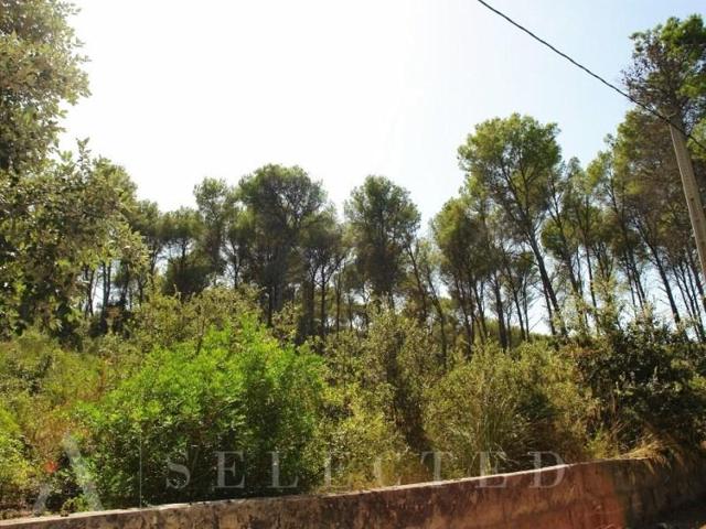 Terreno en venta en Alcúdia photo 0