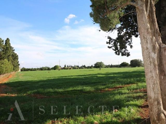 Chalet en venta en Inca photo 0