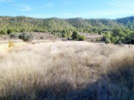 Terreno en venta en Monovar-Monover, LA ROMANETA photo 0
