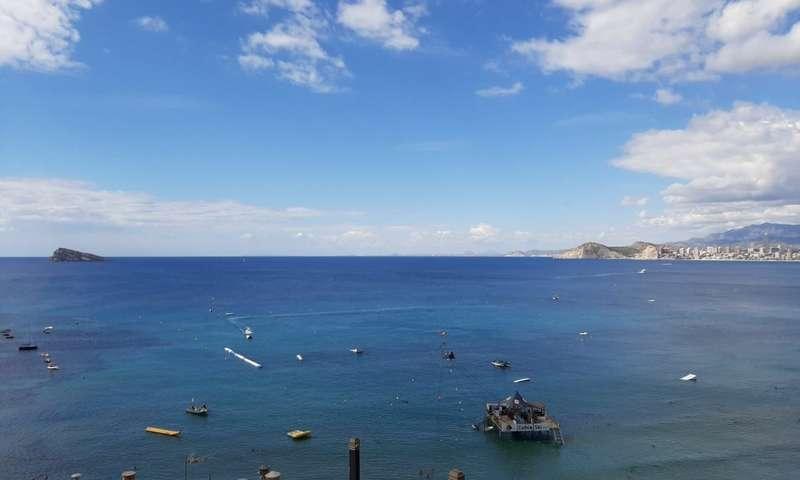 Apartamento en venta en Benidorm, Levante photo 0