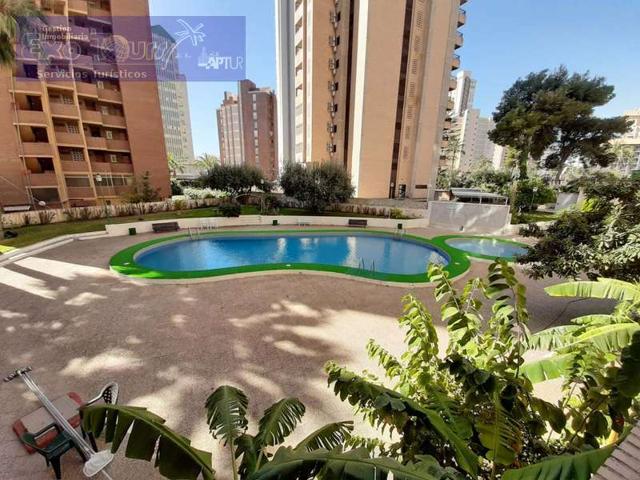 Apartamento en venta en Benidorm, Levante photo 0