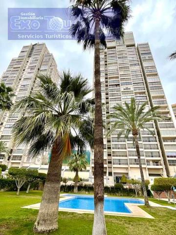 Apartamento en venta en Benidorm, Levante photo 0