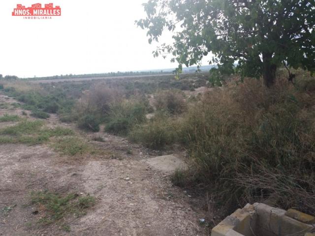 Terreno en venta en Elche, Carretera dolores photo 0