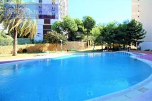 Apartamento en venta en Benidorm, Rincon de Loix photo 0