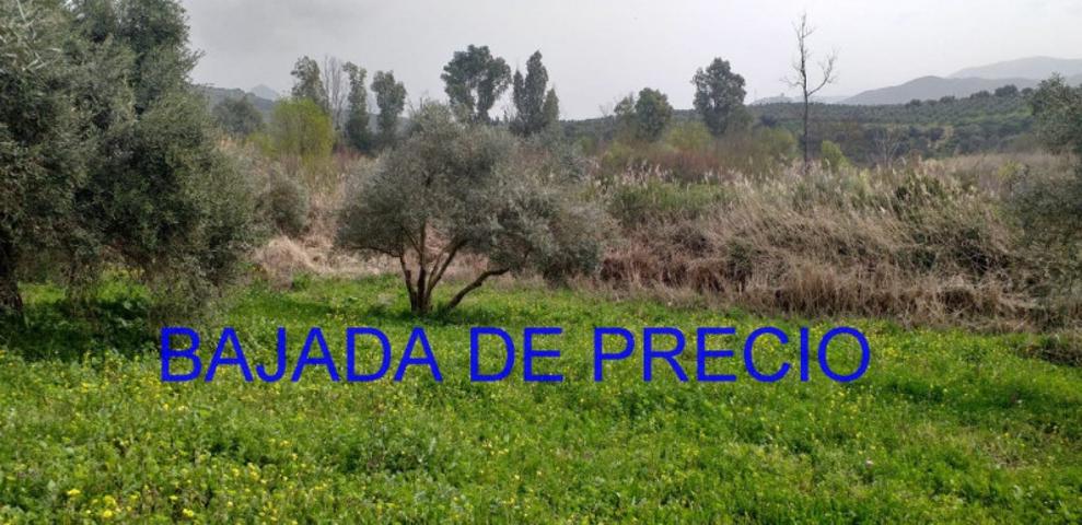 Terreno en venta en Algodonales, Termino de algodonales photo 0