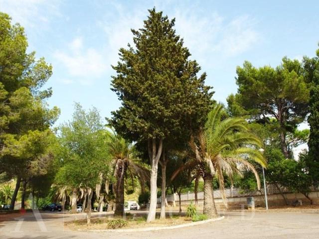 Terreno en venta en Alcúdia photo 0