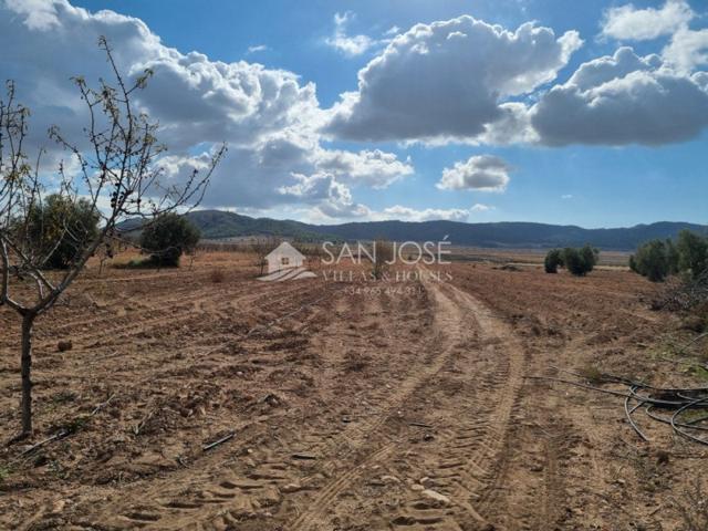 Casa con terreno en venta en Abanilla, Cañada de la Leña photo 0