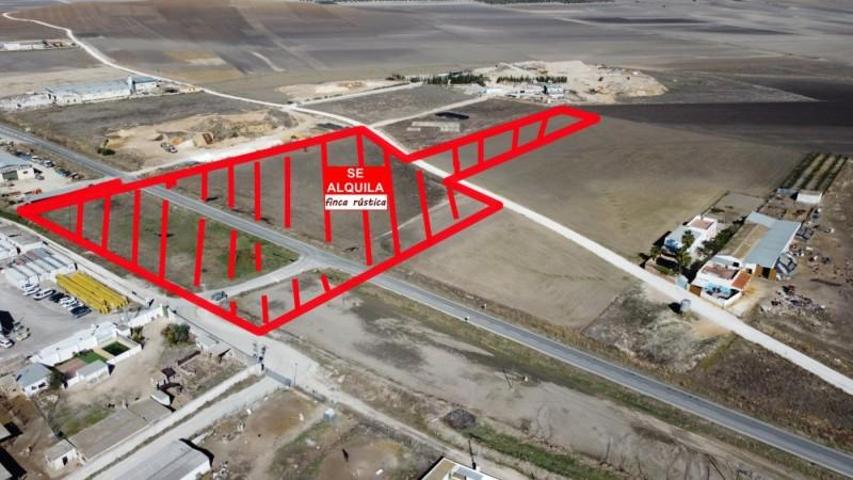 Terreno en venta en Marchena, Marchena photo 0