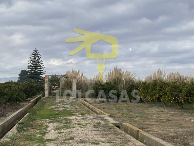 Terreno en venta en Albalat de la Ribera, Albalat De La Ribera photo 0