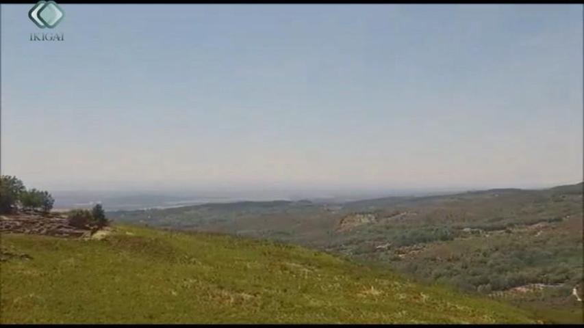 Terreno en venta en Candeleda, EL RASO photo 0