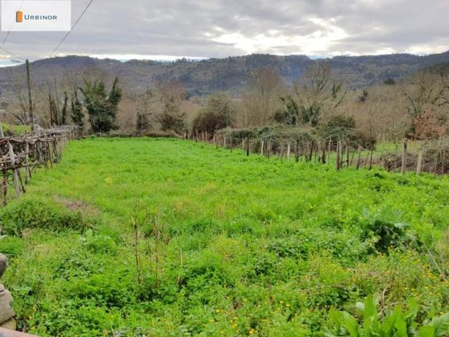 Terreno en venta en Ourense, O Pino photo 0