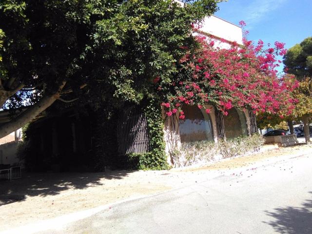 Chalet en venta en Elche, Elche photo 0