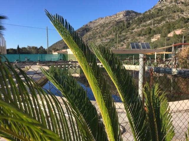 Terreno en venta en Barx, Barx photo 0