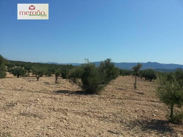 Chalet en venta en Villena, Carrtera de cañada photo 0