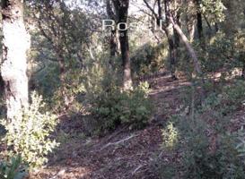 Terreno en venta en Vacarisses, Urb. Els Caus photo 0