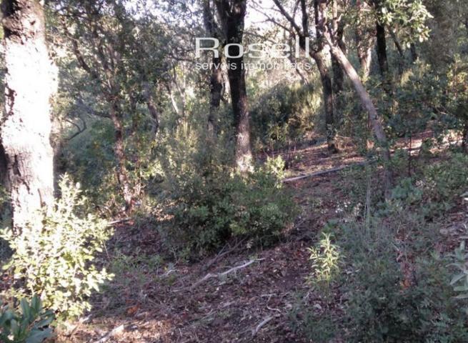 Terreno en venta en Vacarisses, Urb. Els Caus photo 0