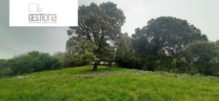 Terreno en venta en Arnuero, Arnuero photo 0