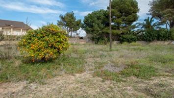 Terreno en venta en Denia, LM A PARTIR KM 12-PY DEVESES, 1ª LINEA photo 0
