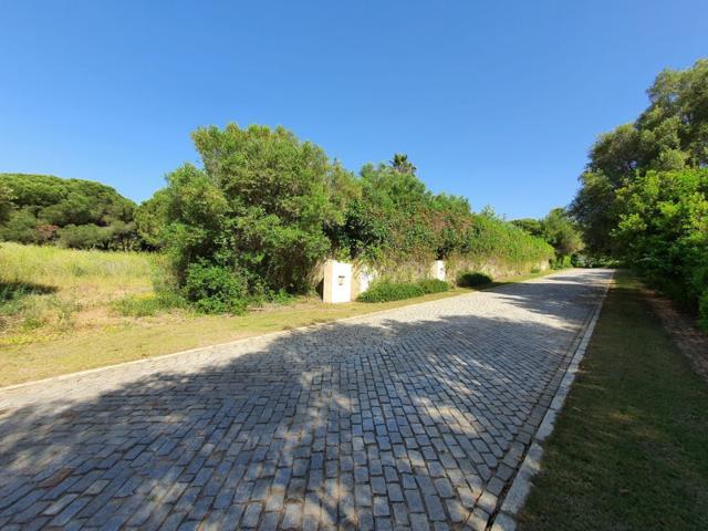 Terreno en venta en Sotogrande, Campo de Gibraltar photo 0