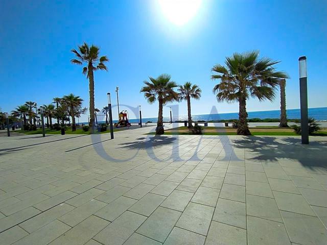 Local comercial en venta en Torrevieja, Calle la Sal, 03182 photo 0