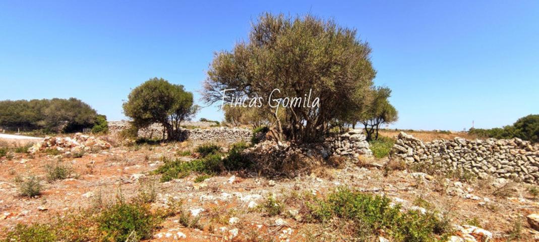 Terreno en venta en Sant Lluís photo 0