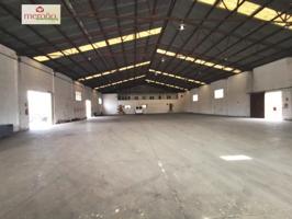 Nave industrial en venta en Elche, Algoros photo 0