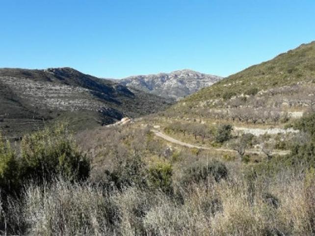 Terreno en venta en Tirig photo 0