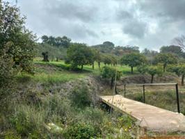 Chalet en venta en Alozaina photo 0