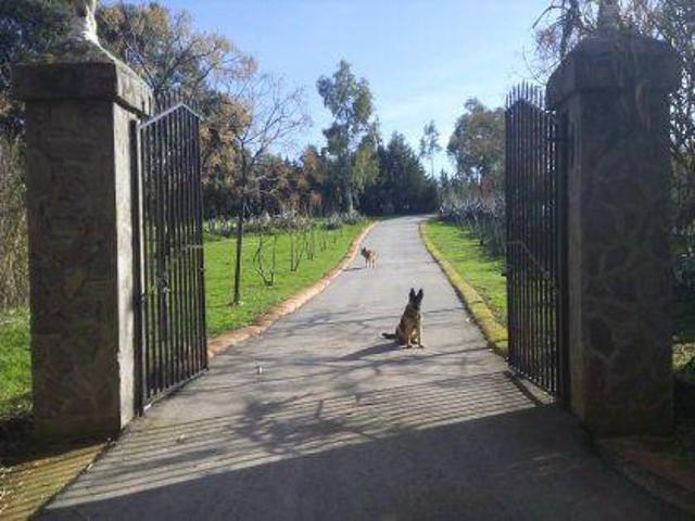Chalet en venta en Villalba de los Barros, Villalba De Los Barros photo 0