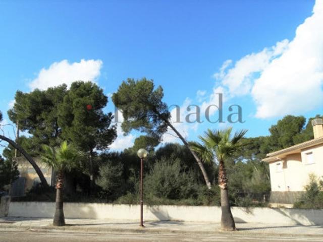 Terreno en venta en Santa Margalida photo 0