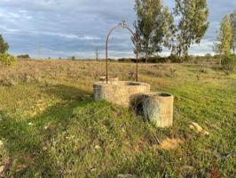 Terreno en venta en Bollullos par del Condado, Periferia photo 0