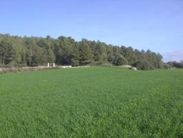 Chalet en venta en Algaida, Algaida campo photo 0