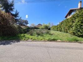 Terreno en venta en Valdefresno, Golpejar de La Sobarriba photo 0