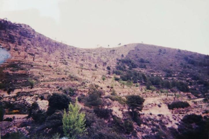 Terreno en venta en Torremanzanas, L'Alacantí photo 0