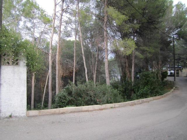 Terreno en venta en Carcaixent, Aigues vives 1 photo 0
