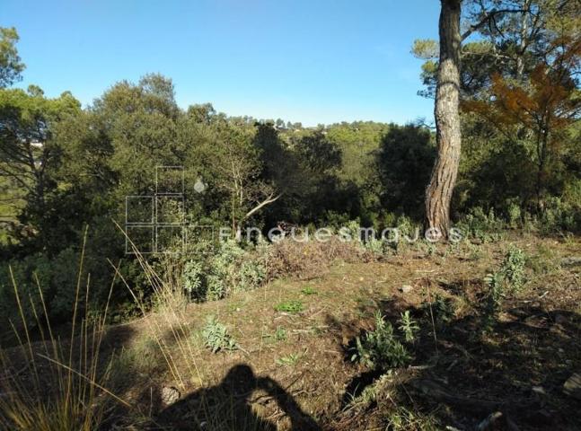 Terreno en venta en Vacarisses, Vallès Occidental photo 0
