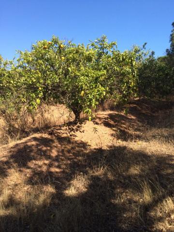 Chalet en venta en Bonares, Bonares photo 0