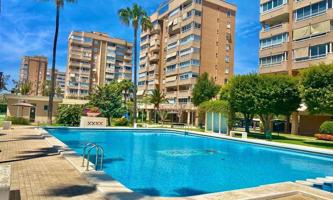 Apartamento en alquiler en Alicante photo 0