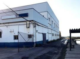 Nave industrial en venta en Isla Cristina, Isla cristina photo 0