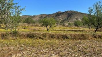 Terreno en venta en Cartagena, Tallante photo 0