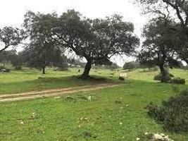 Chalet en venta en Tamames, Tamames photo 0