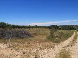 Terreno en venta en Vall d'Alba, Vall d Alba photo 0