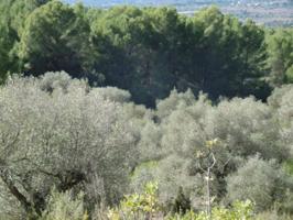 Terreno en venta en Vall d'Alba, Tosal roig photo 0